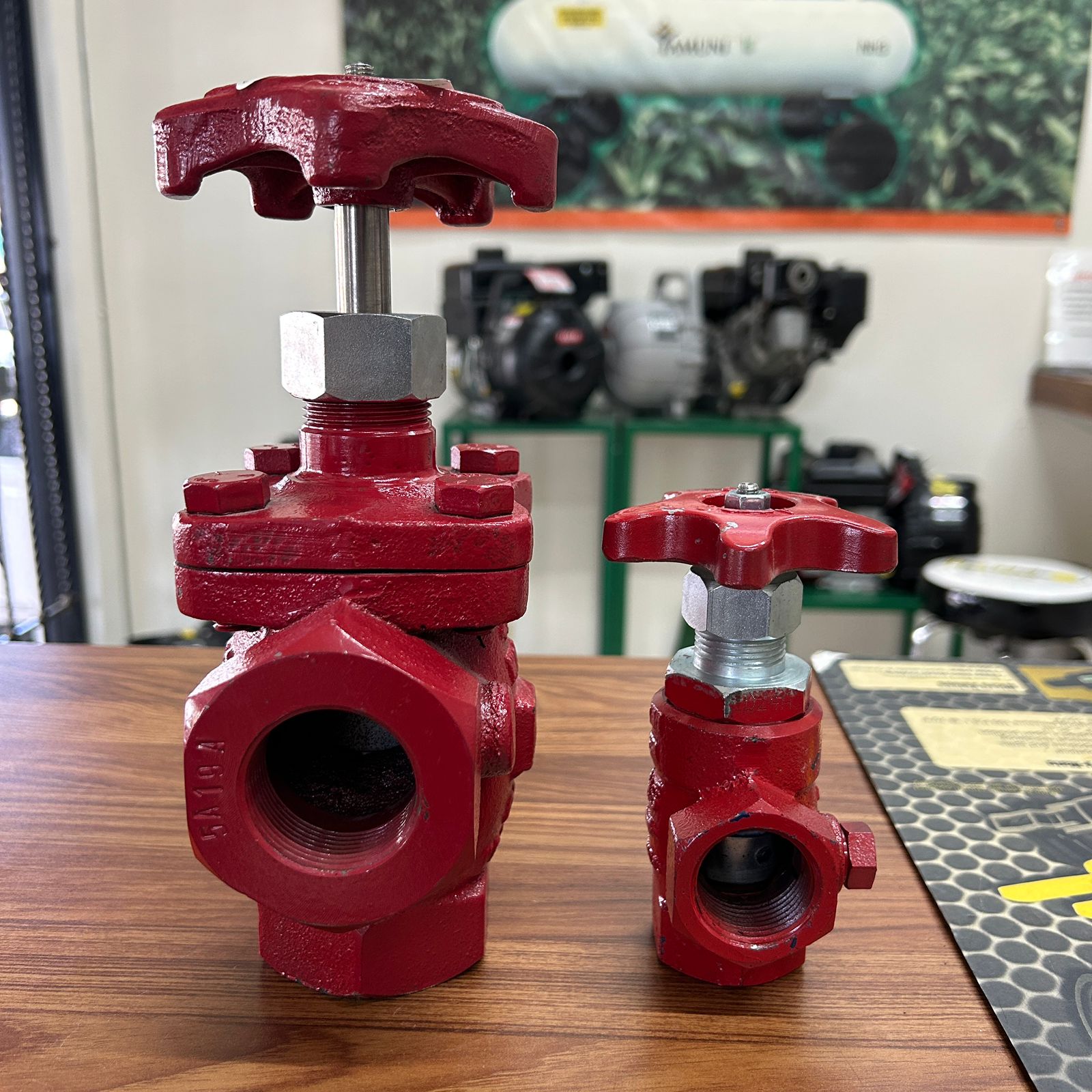 FOTO DE VALVULA GLOBO ANGULAR ROSCADA - CMS