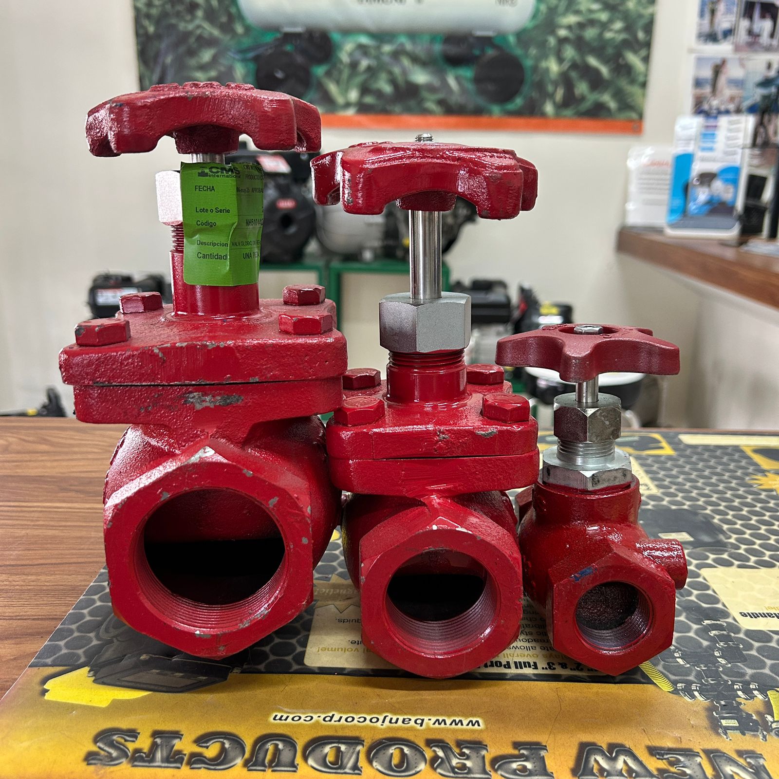 FOTO Válvula de Globo Recta Roscada - CMS